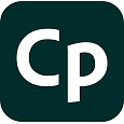 Captivate for teams MP ML Government 1 User, 12 Months, Level 3, 50 - 99 Lic