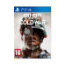 Call of Duty: Black Ops Cold War (PS4)