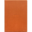 POCKETBOOK pouzdro Magnetic folio cover pro InkPad One (PB1030), tm. oranžové