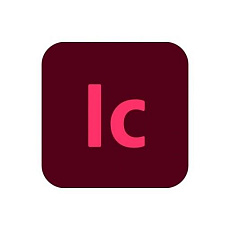 InCopy for teams MP ML (+CZ) Commercial 1 User, 12 Months, Level 2, 10-49 Lic