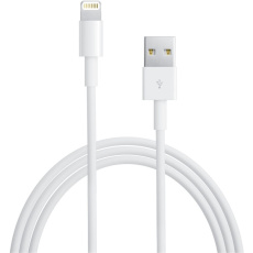 Apple Lightning to USB Cable 1m