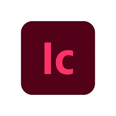 InCopy for teams MP ML (+CZ) Government 1 User, 12 Months, Level 1, 1 - 9 Lic
