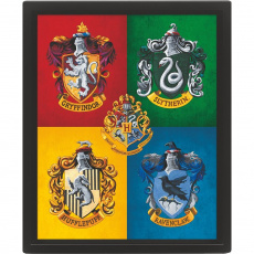 3D obraz Harry Potter barevný 3D obraz Harry Potter barevný