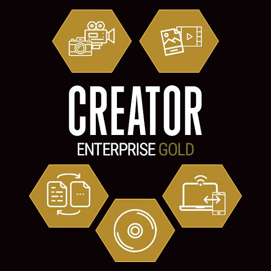 Creator Gold Corporate Maintenance (1 Year) ML (251-500)