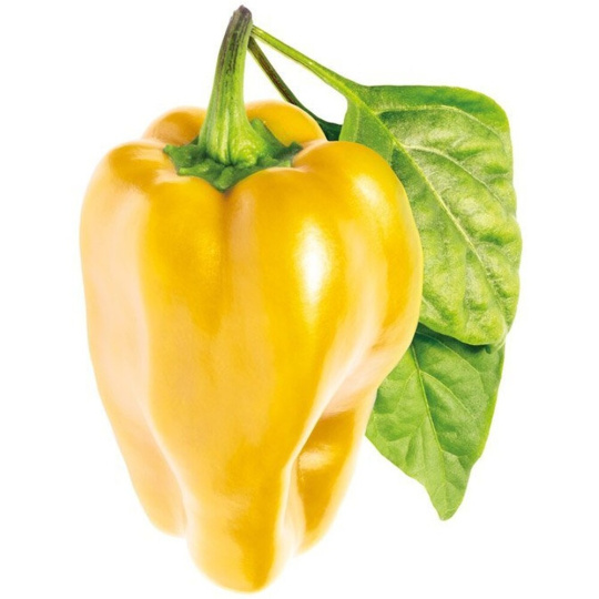 Click and Grow sladká žlutá paprika kapsle se semínky a substrátem 3ks