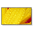 SHARP/NEC LFD 65" MultiSync M651-2, IPS, 3840x2160, 500nit, 8000:1, 8ms, 24/7, DP, HDMI, LAN, USB, Mediaplayer